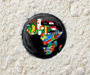 Driving Africa’s Transformation: Urgent Calls for Global Financial Architecture Reform